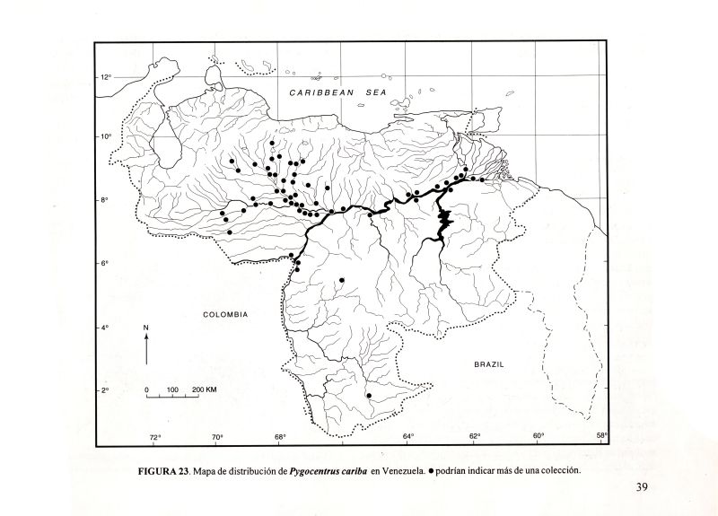 Los Peces Caribe de Venezuela